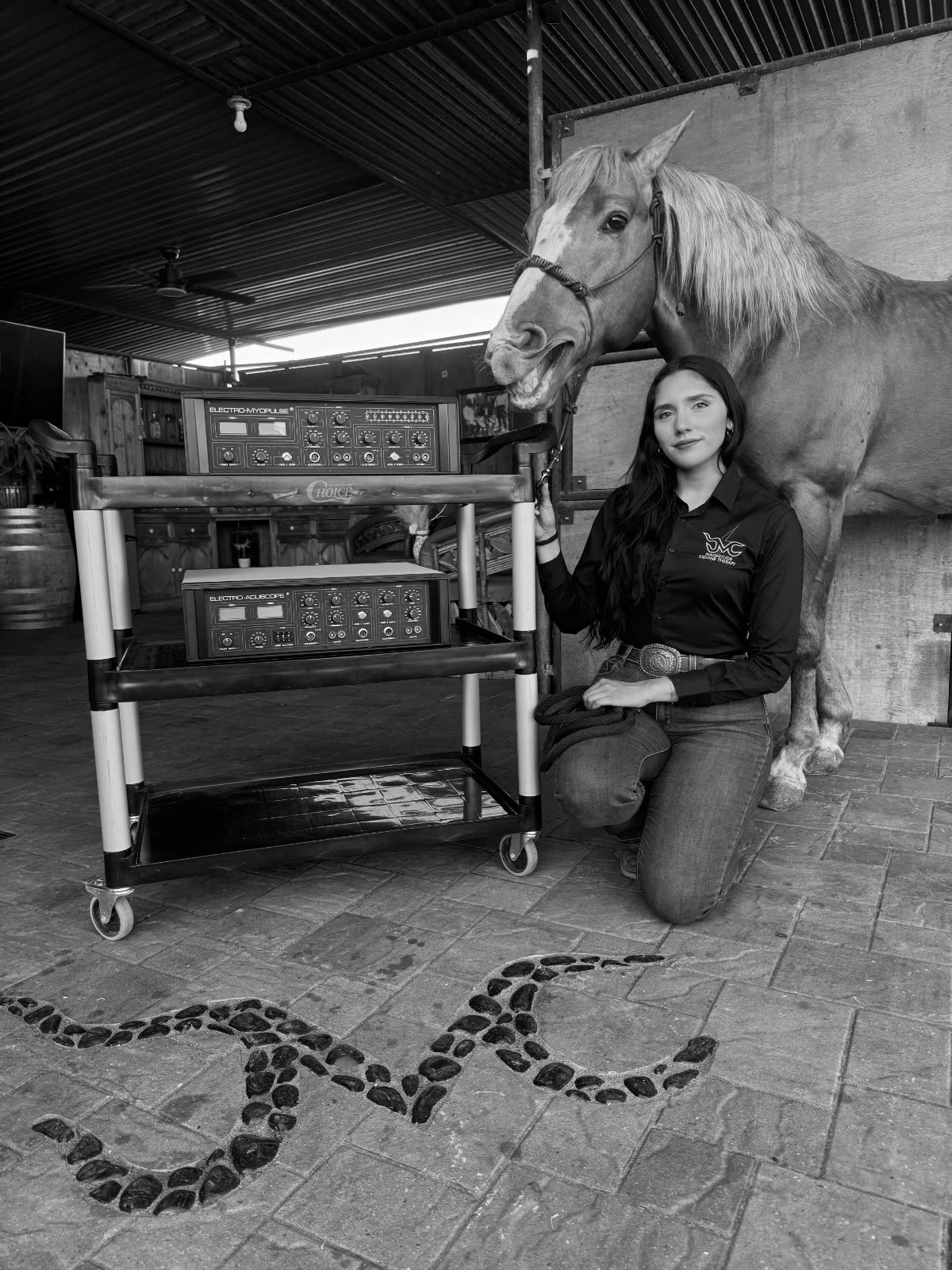 Bertha beside a horse with the Electro-Myopulse and Electro-Acuscope units on her mobile cart